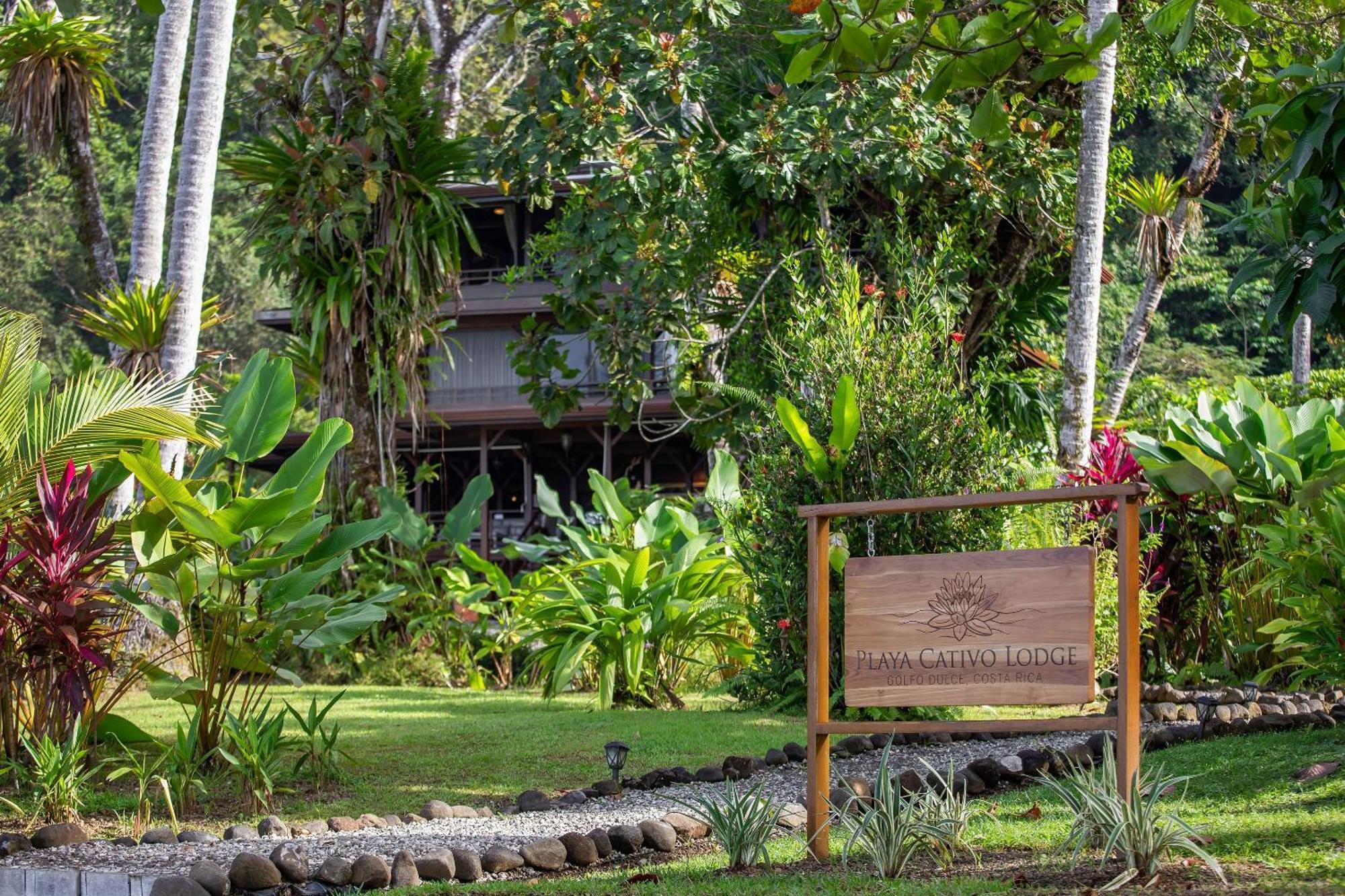 Playa Cativo Lodge Esquinas Экстерьер фото