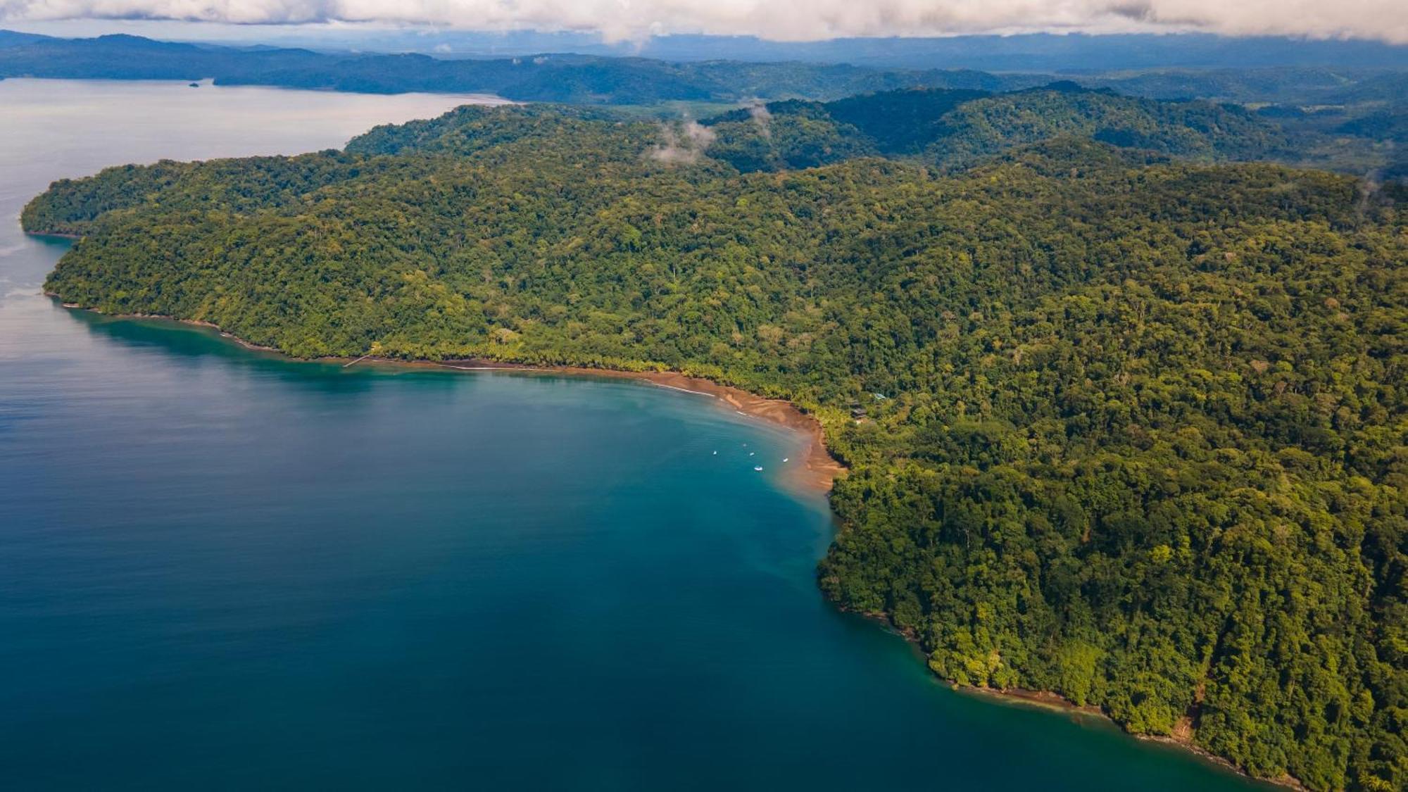 Playa Cativo Lodge Esquinas Экстерьер фото